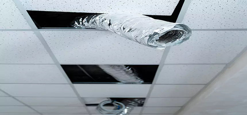 Our Air Duct Pet Hair Removal Services in El Centro, CA