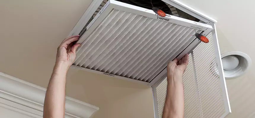 Our Insect Removal from Air Ducts Services in El Centro, CA