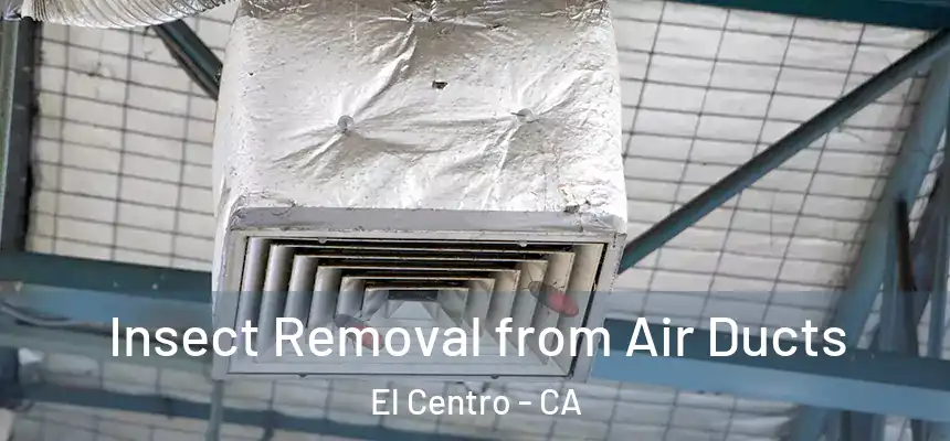  Insect Removal from Air Ducts El Centro - CA