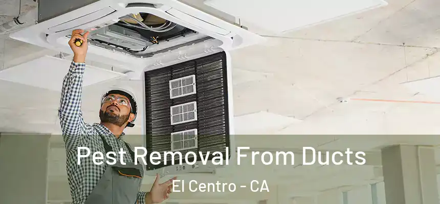  Pest Removal From Ducts El Centro - CA