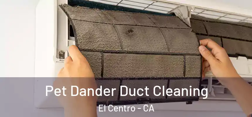 Pet Dander Duct Cleaning El Centro - CA