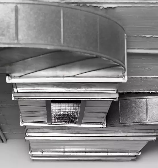 Professional Air Duct Pest Removal in El Centro, CA