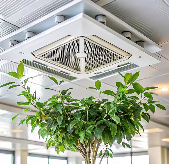 Why Homeowners & Businesses Trust Us in El Centro, CA?